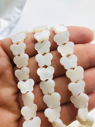 Madre Pérola Borboleta