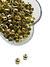 dourado